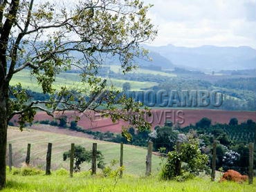Fazenda 968000m² à venda Morungaba,SP Bairro do Couto - R$ 13.500.000