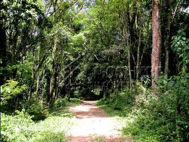 Fazenda 968000m² à venda Morungaba,SP Bairro do Couto - R$ 13.500.000