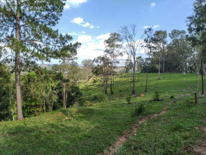 Sítio 145200m² à venda Itatiba,SP - R$ 1.900.000