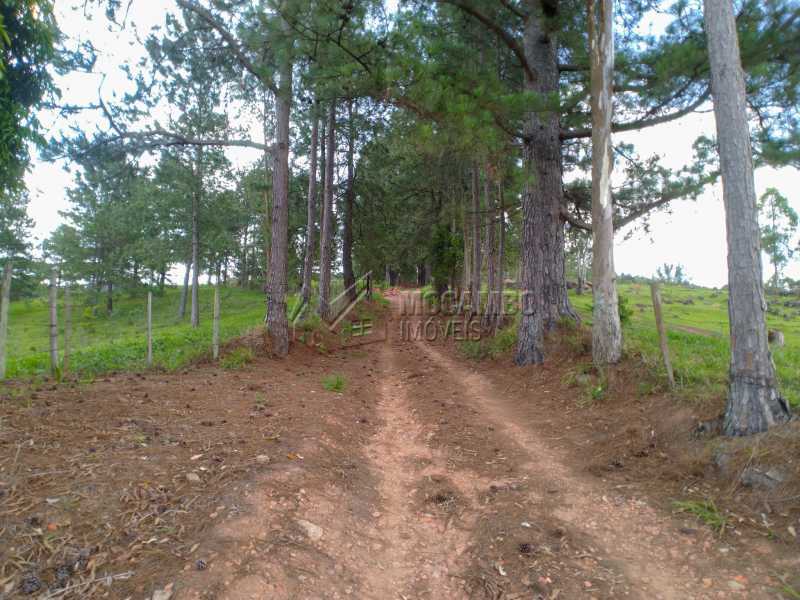 Sítio 145200m² à venda Itatiba,SP - R$ 1.900.000