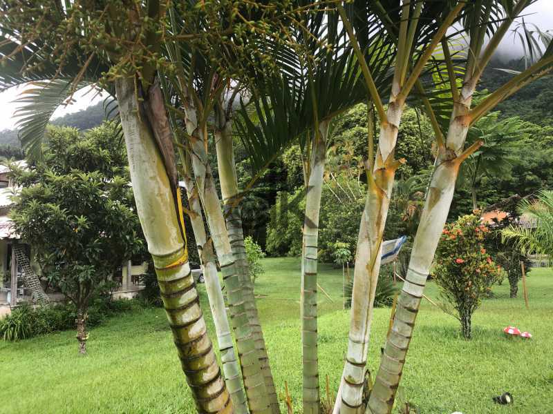 EDK VENDE - CASA TIPO CHÁCARA - PONTAL -  TERRENO AMPLO - RECREIO DOS BANDEIRANTES - GLEBA C - ZONA OESTE - RJ
