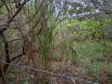 Lote à venda Alameda Andorinhas, Marina, Armação dos Búzios - R$ 600.000 - BZ-AAT002